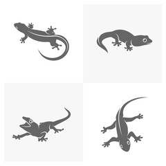 Set of Lizard logo design vector template, Illustration design Lizard, Symbol Icon