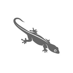 Lizard logo design vector template, Illustration design Lizard, Symbol Icon