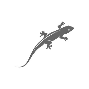 Lizard logo design vector template, Illustration design Lizard, Symbol Icon