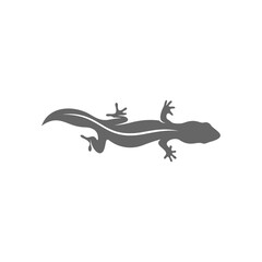 Lizard logo design vector template, Illustration design Lizard, Symbol Icon