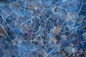 Looking through the ice on Lake Ontario