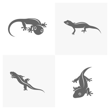 Set of Lizard logo design vector template, Illustration design Lizard, Symbol Icon