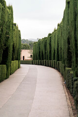 Gardens of the Alhambra of Granada.