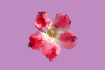Digital painting of a flower with maroon, red and white colors on a mauve color background. A fuzzy colorful flower made on digital platform.