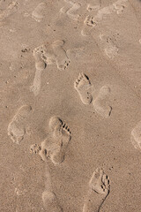Coming and going in the Sand at the Beach