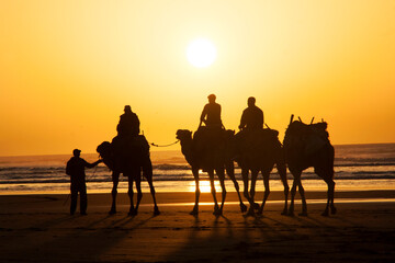 Morocco. African caravan