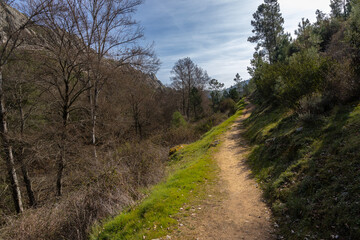 Fototapeta na wymiar Landscape with rural path near Cañamero. Extremadura. Spain.