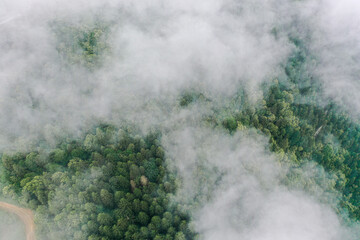Clouds over the forest  Drone shot from 1500 feet sky 
