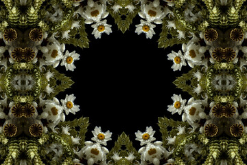 abstract colorful seamless pattern with floral motifs from flowers and leaves. High quality photo