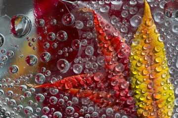 Freezing drops of water are located on yellow-red fallen leaves against the orange-red ice. Close-up.