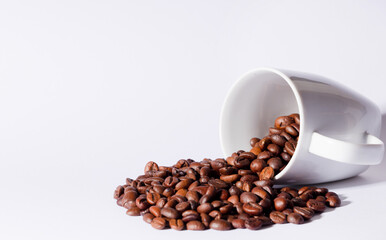Isolated coffee beans (selective focus on coffee beans) with ceramic cup, white background.