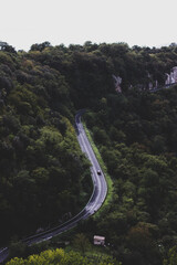 Road between woods from above