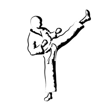 karate moves, stylized karateka vector illustration