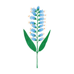 floral design elements created by hand using crayon