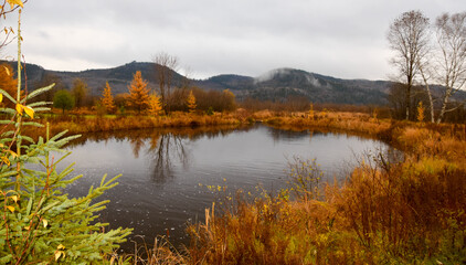Fototapeta premium Little river with fall colors in Canadian forest, Quebec