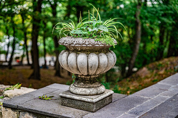 Ancient vase with green plants in summer park