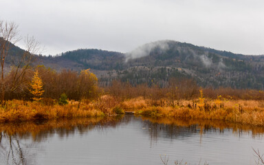 Little river with fall colors in Canadian forest, Quebec