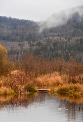 Little river with fall colors in Canadian forest, Quebec