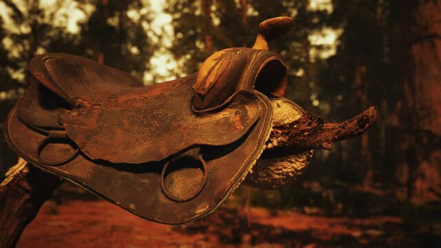vintage Leather horse saddle on the dead tree in forest at sunset