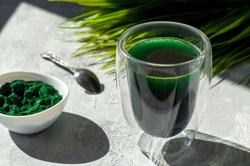 Spirulina drink with and spirulina algae powder on white plate. Superfood detox drink. Natural antioxidant. Anti-aging effect. Green diet. Hard shadows.