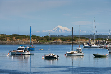 Vancouver Island Mount Baker View. Looking across Oak Bay on Vancouver Island with Mount Baker in the background.

