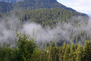 Brume s'échappant des forêts au petit matin, Dolomites