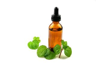 Herbs, essential oil, peppermint and leaves on white background.