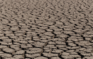 Earth cracked because of drought. The global shortage of water on the planet. Global warming...