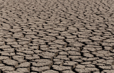 Earth cracked because of drought. The global shortage of water on the planet. Global warming concept. Dry cracks in the land.