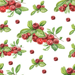 Lingonberry berries. Hand-drawn watercolor pattern. Bright beautiful print, textile, background. forest. Cotton, snowberry, spruce, pine, branches and cones. Seamless pattern Sketch, retro, vintage. 