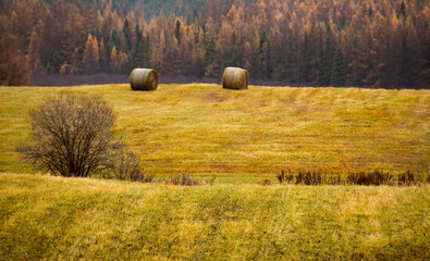 Autumn and its colors on the farm