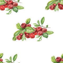 Lingonberry berries. Hand-drawn watercolor pattern. Bright beautiful print, textile, background. forest. Cotton, snowberry, spruce, pine, branches and cones. Seamless pattern Sketch, retro, vintage. F
