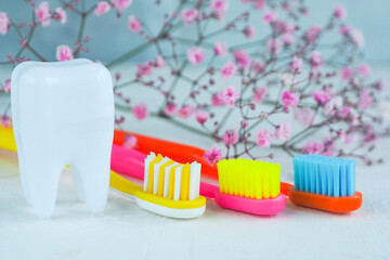 three bright multi-colored toothbrushes on a white table, a white figurine of a tooth and pink flowers of gypsophila.