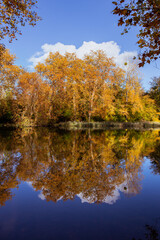 Fototapeta na wymiar Couleurs d'automne sur le lac