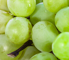 Close up de uvas verdes