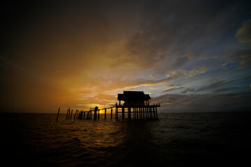 the sun rises from the sea in the morning