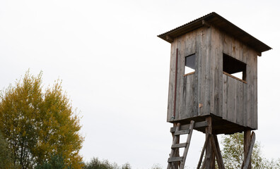 obserwatorium myśliwskie na skraju lasu © Michael