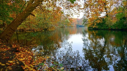 Obraz premium autumn in the park
