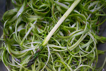 Fresh ripe uncooked peeled asparagus on a green peel background.