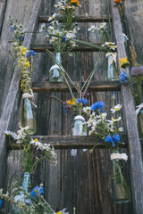 flowers in the garden