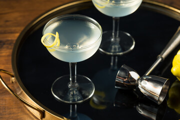 Fototapeta na wymiar Homemade Dry Gin Martini