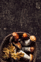 Autumn composition with porcini mushrooms and oak leaves on dark old wooden background. Flat lay, copy space