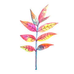 sprig of colorful leaves5