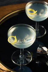 Homemade Dry Gin Martini