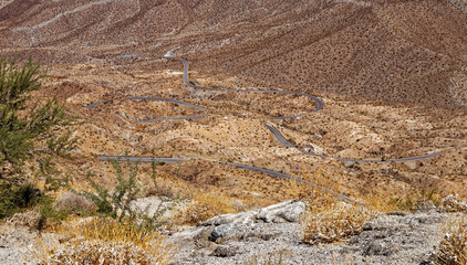 curvy road in the desert
