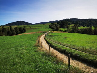 Fototapeta premium A dirt road leading through meadows. Gorce Mountains Poland