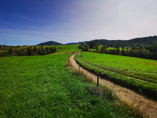 Fototapeta na wymiar A dirt road leading through meadows. Gorce Mountains Poland