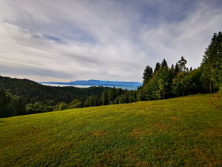View of a green meadow in the background of the Tatra Mountains