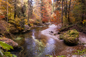 Gunzesrieder Klamm im Herbst