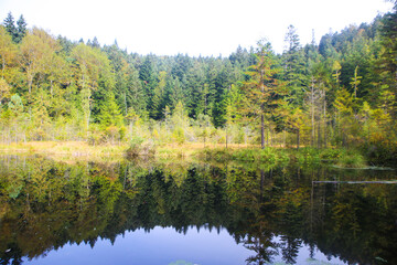 lake in autumn